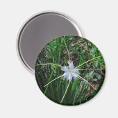 Swamp Lily Magneet (Voorkant / Achterkant)