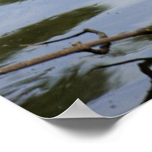 Swamp Lovin Poster (Hoek)