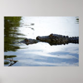 Swamp Lovin Poster (Voorkant)