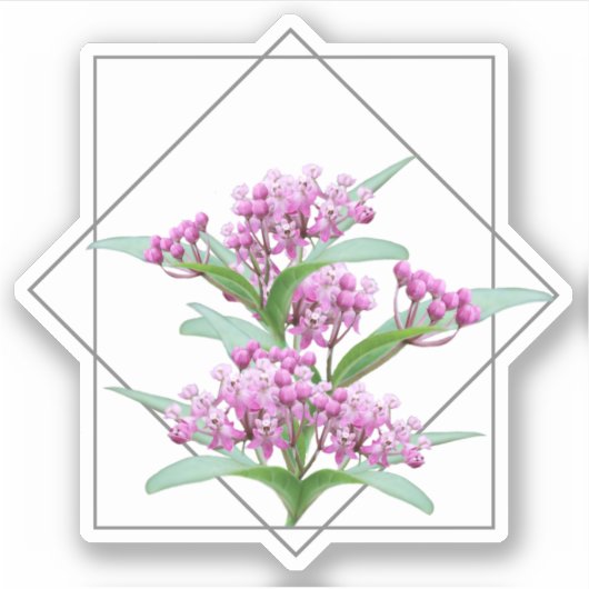 Swamp Milkweed Asclepias Incarnata Roze Bloem Sticker (Voorkant)
