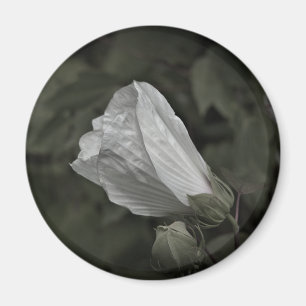 Swamp Roos Mallow koelkastmagneet Magneet