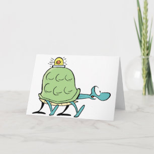 Swamp Turtle wordt snel beter Kaart