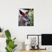Swamp Wallaby Poster (Thuiskantoor)