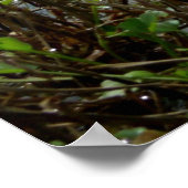 Swampy Scape Poster (Hoek)