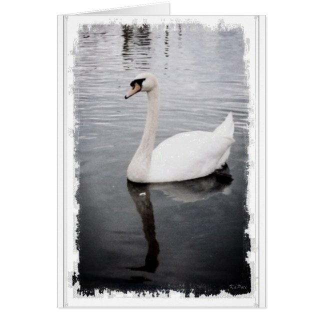 Swan (Voorkant)
