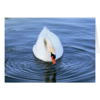Swan #2