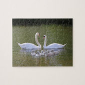 Swan and cygnets legpuzzel (Horizontaal)
