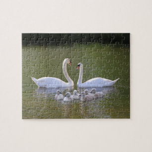 Swan and cygnets legpuzzel