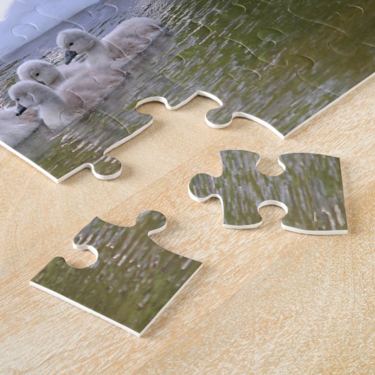 Swan and cygnets legpuzzel (Zijkant)