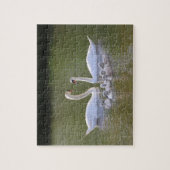 Swan and cygnets legpuzzel (Verticaal)