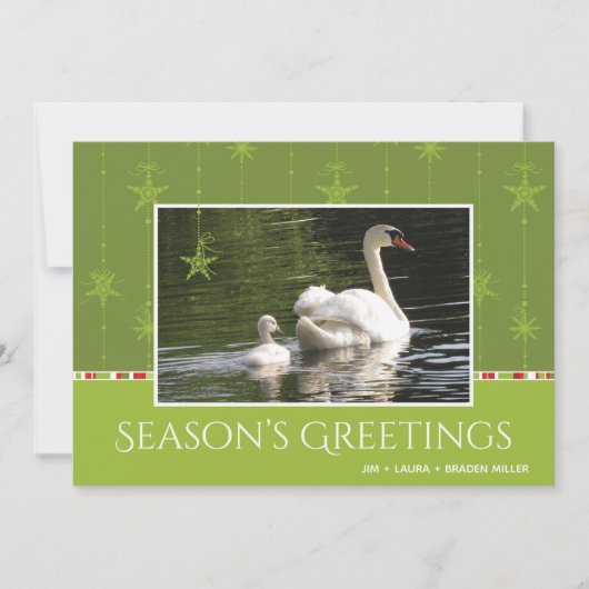 Swan and Star Ornaments Season's Greeting Feestdagenkaart (Voorkant)