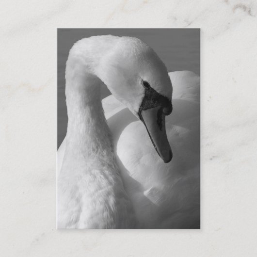 Swan B&W Visitekaartje (Voorkant)