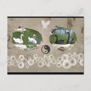 Swan Balance Briefkaart