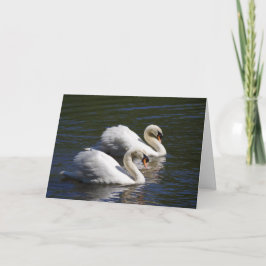 Swan Birthday Card Kaart