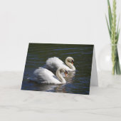 Swan Birthday Card Kaart (Voorkant)