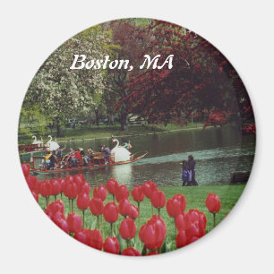 Swan Boats en Red Tulips Magneet