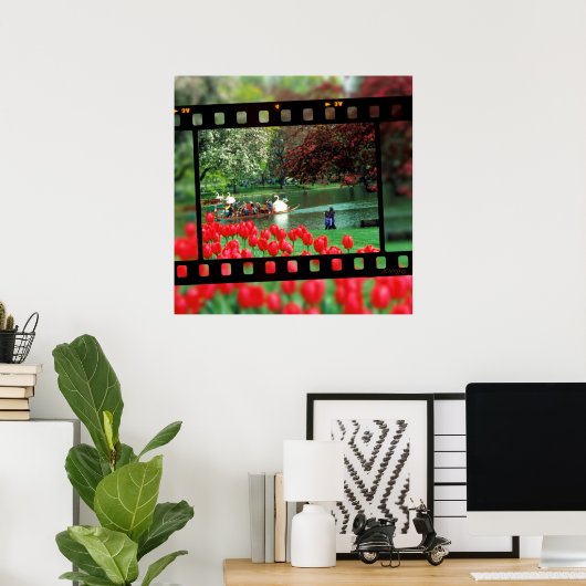 Swan Boats en Red Tulips Poster (Thuiskantoor)
