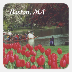 Swan Boats en Red Tulips Vierkante Sticker