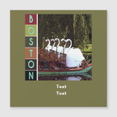 Swan Boats in Summer - Boston (Voorkant)