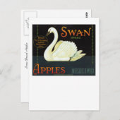 Swan Brand Apples Briefkaart (Voorkant / Achterkant)