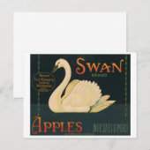 Swan Brand Apples Krat Label Briefkaart (Voorkant / Achterkant)