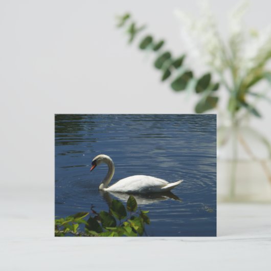 Swan Briefkaart (Staand voorkant)