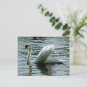 Swan Briefkaart (Staand voorkant)
