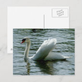 Swan Briefkaart (Voorkant / Achterkant)
