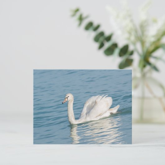 Swan Briefkaart (Staand voorkant)