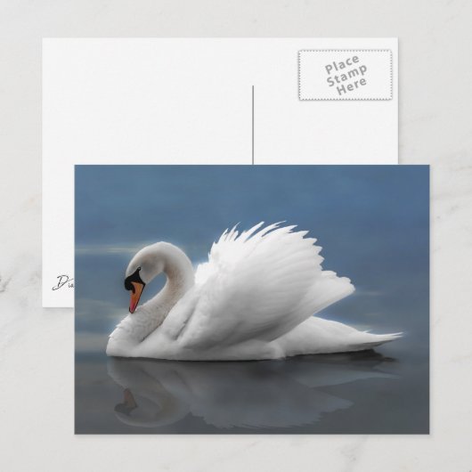 Swan Briefkaart (Voorkant / Achterkant)
