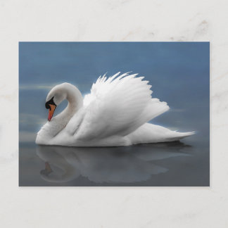 Swan Briefkaart