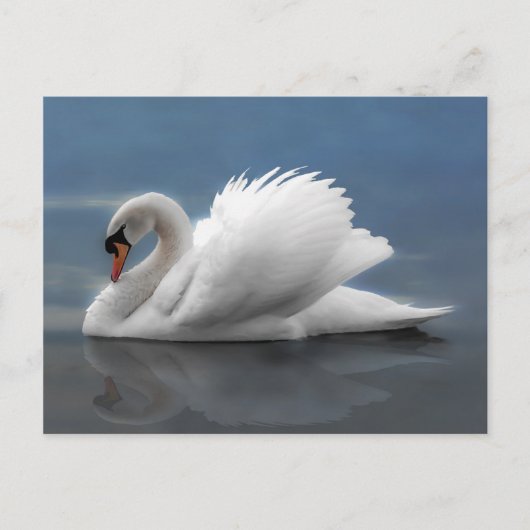 Swan Briefkaart (Voorkant)