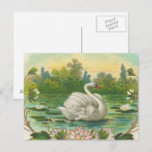 Swan Briefkaart (Voorkant / Achterkant)