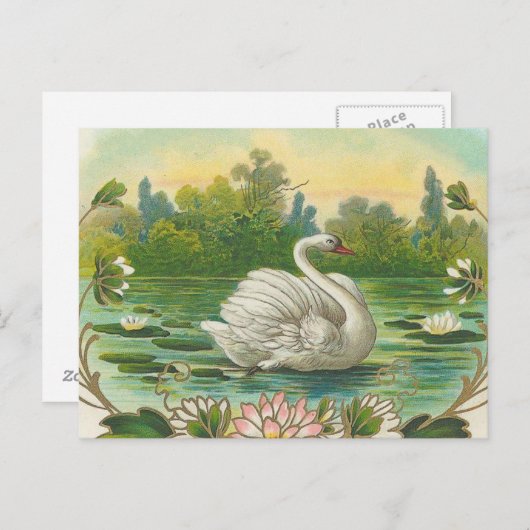 Swan Briefkaart (Voorkant / Achterkant)