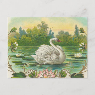 Swan Briefkaart