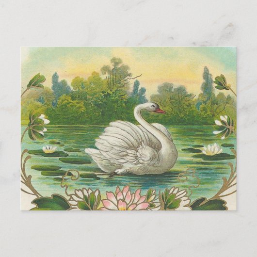 Swan Briefkaart (Voorkant)