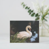 Swan Briefkaart (Staand voorkant)