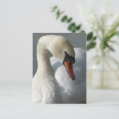 Swan Briefkaart (Staand voorkant)
