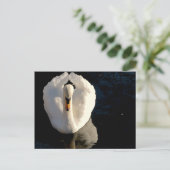 Swan Briefkaart (Staand voorkant)