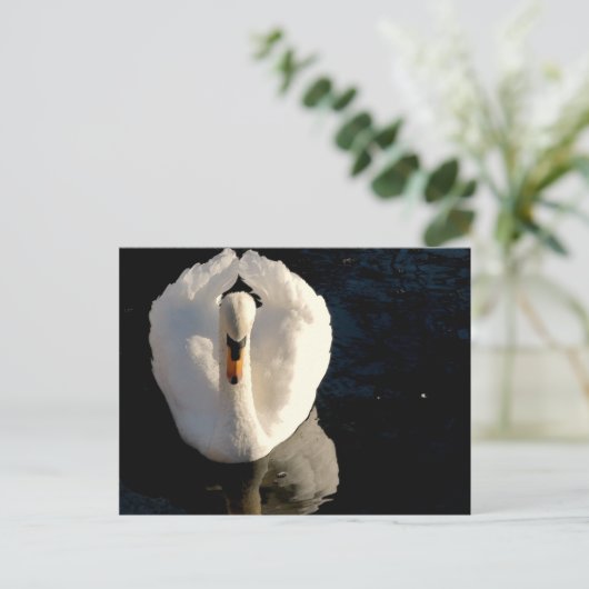 Swan Briefkaart (Staand voorkant)