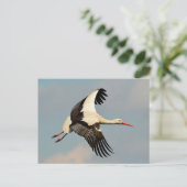 Swan Briefkaart (Staand voorkant)