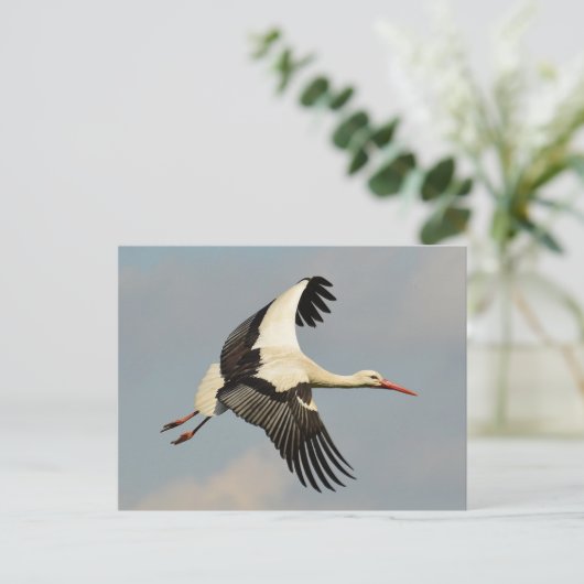 Swan Briefkaart (Staand voorkant)