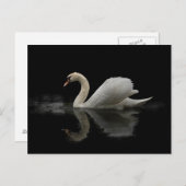 Swan Briefkaart (Voorkant / Achterkant)