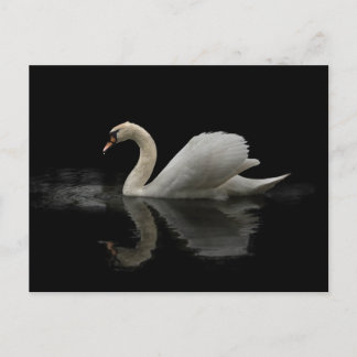 Swan Briefkaart