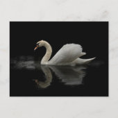 Swan Briefkaart (Voorkant)