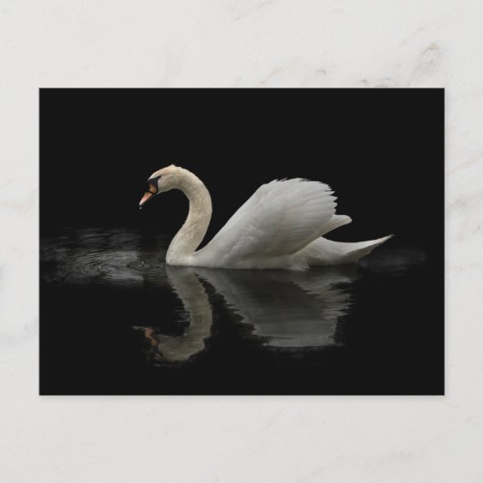 Swan Briefkaart (Voorkant)