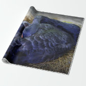 Swan Cadeaupapier (Uitgerold)
