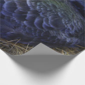 Swan Cadeaupapier (Hoek)