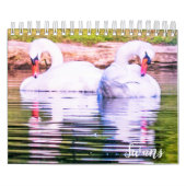 Swan Calendar Kalender (Hoes)