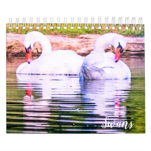 Swan Calendar Kalender (Hoes)